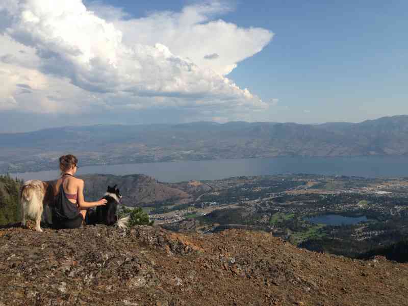 Carrot Mountain: Exterior Loop w/Bailey