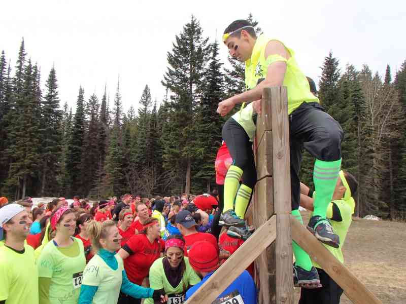 Mudd, Sweat and Tears 2014