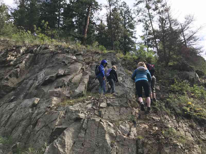 Carrot Mountain: Lost Loop
