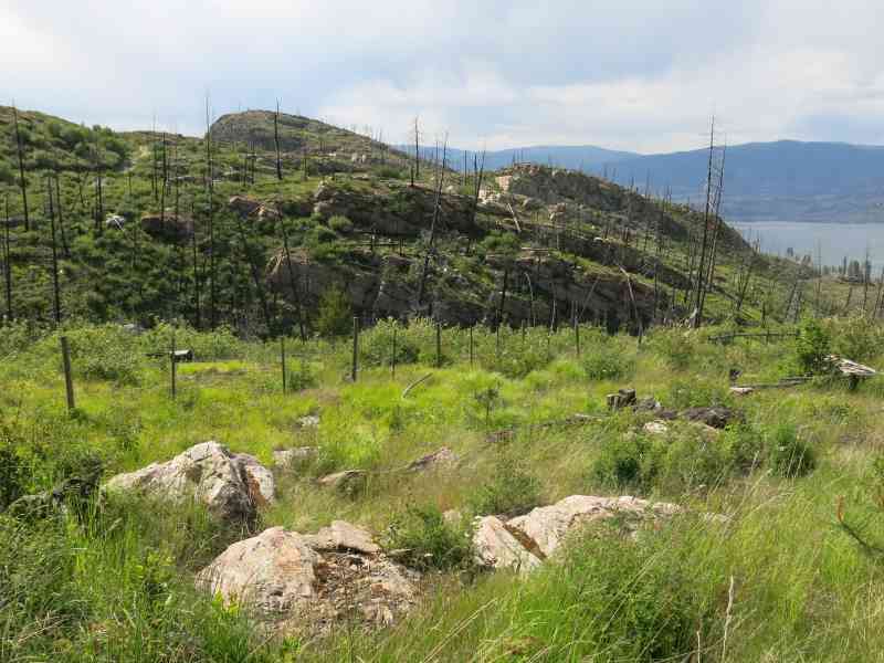 JFNC: Cedar Mountain (Kelowna Crags)