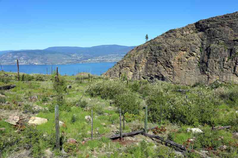 JFNC: Cedar Mountain (Kelowna Crags)