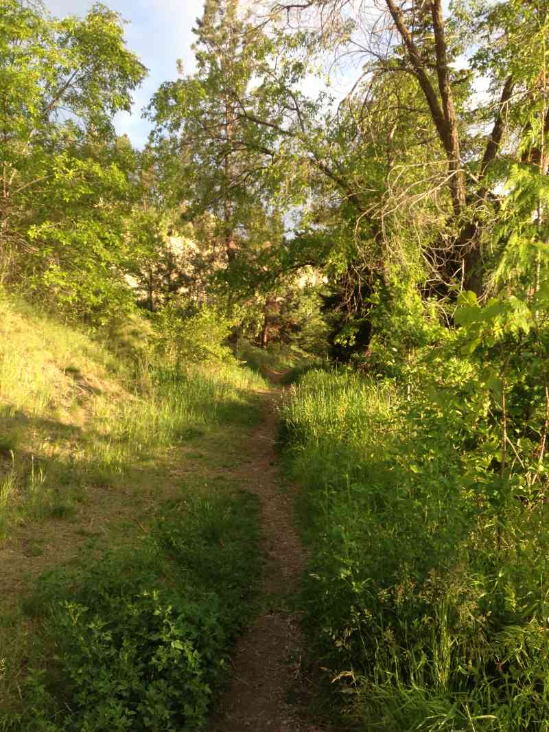 Dilworth Loop w/ Terri