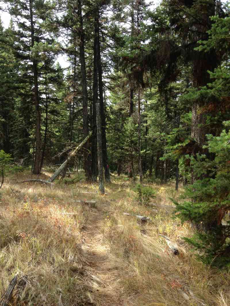 High Rim Trail: The Grand View