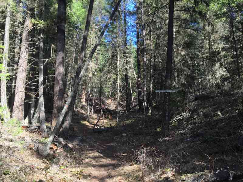 High Rim Trail: Full Trip (Vernon to Kelowna)