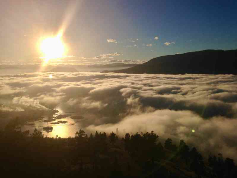 Edited for Social 2020-Jan-8