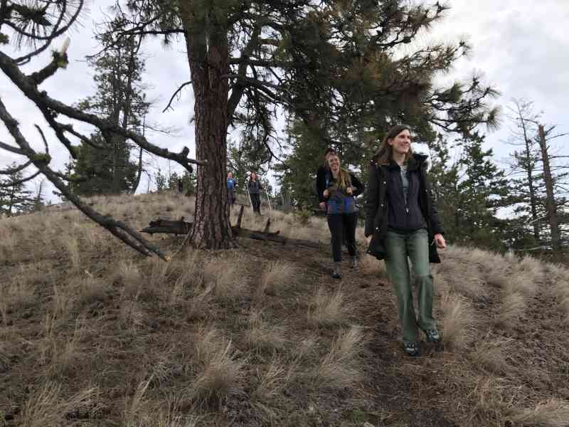 Knox: Grainger Summit Loop