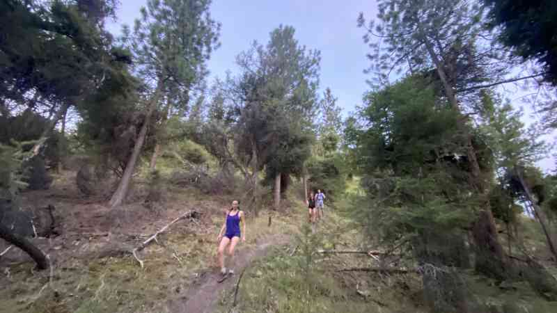 IMG_4252