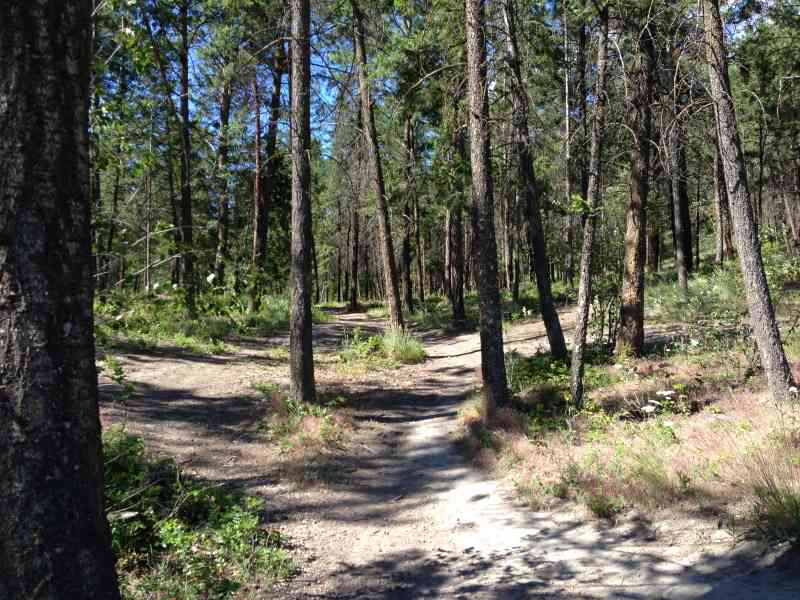 Knox: Grainger Summit Loop