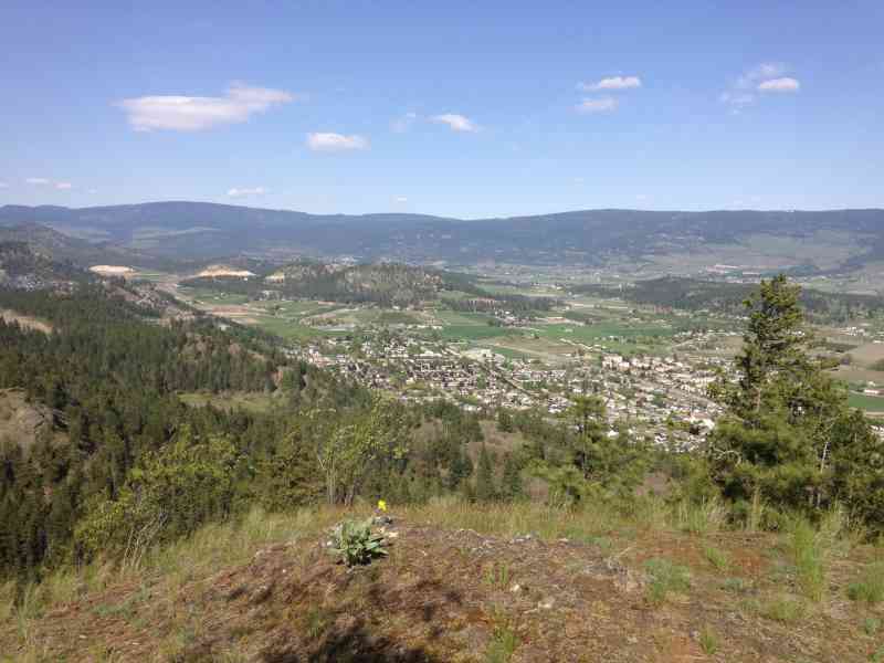 Knox: Grainger Summit Loop