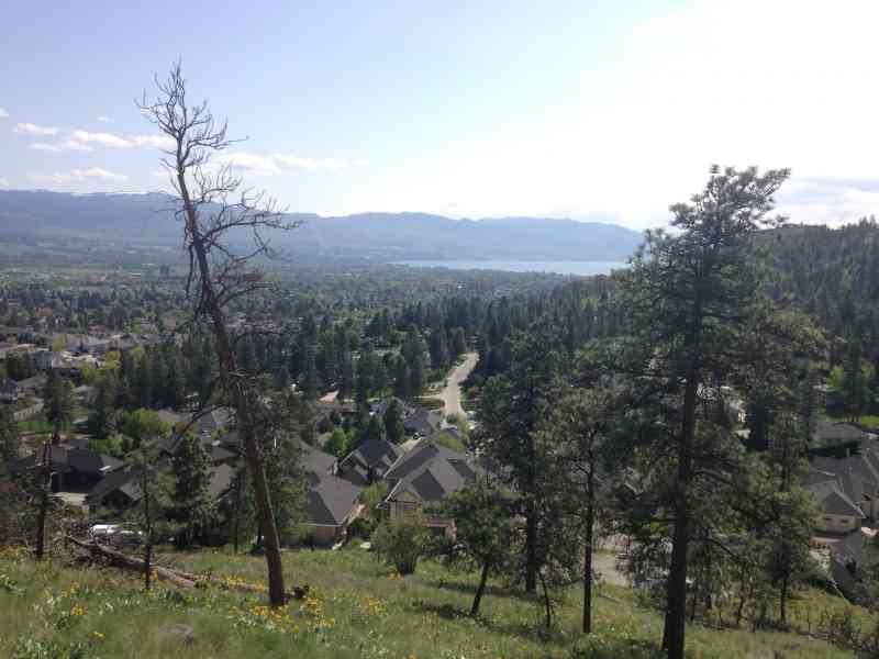 Knox: Grainger Summit Loop