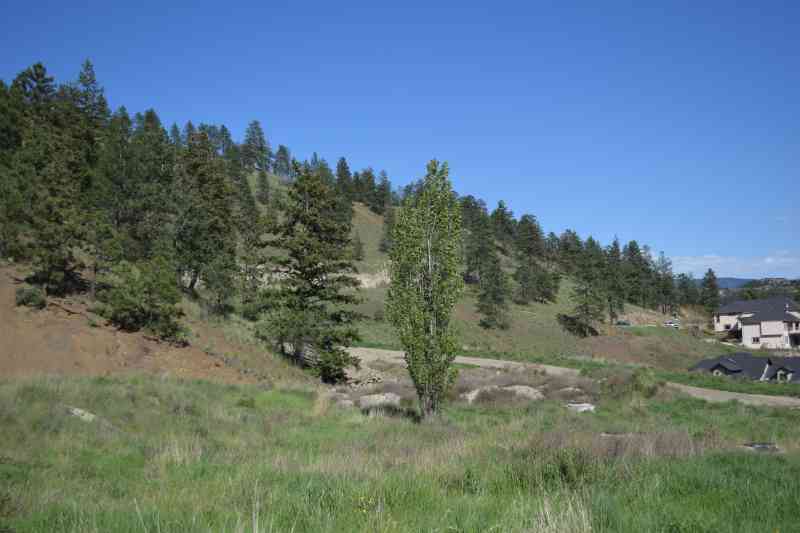 Knox: Grainger Summit Loop