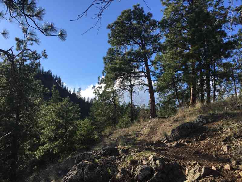 Knox: Grainger Summit Loop w/ Nicole & Lisa