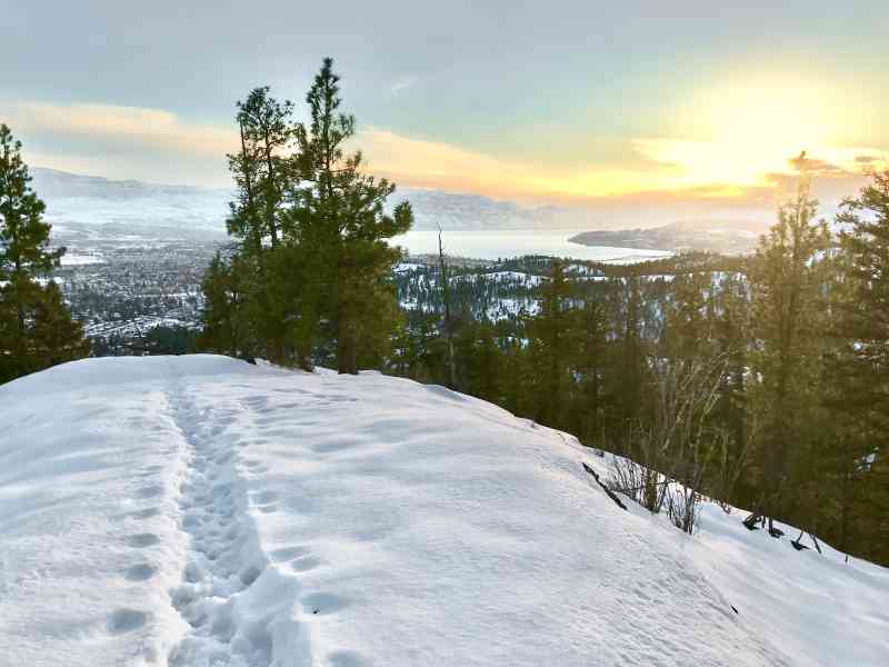 Edited for Social 2020-Jan-6