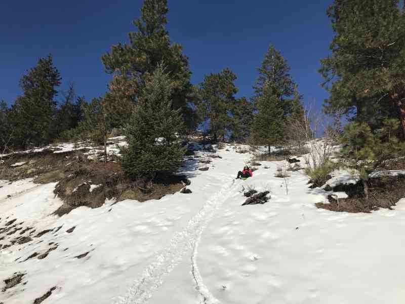 Knox: Grainger Summit Loop