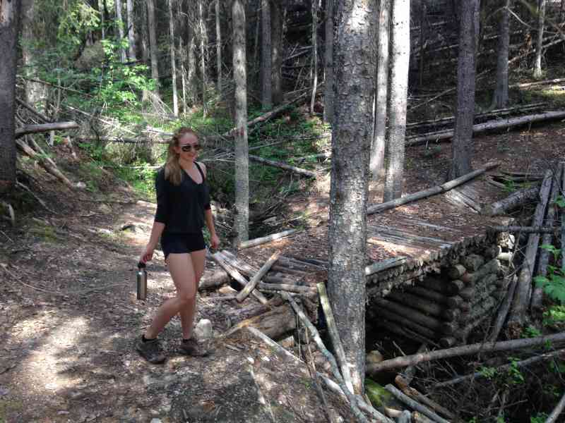 Little White Mountain (Crawford Trail)