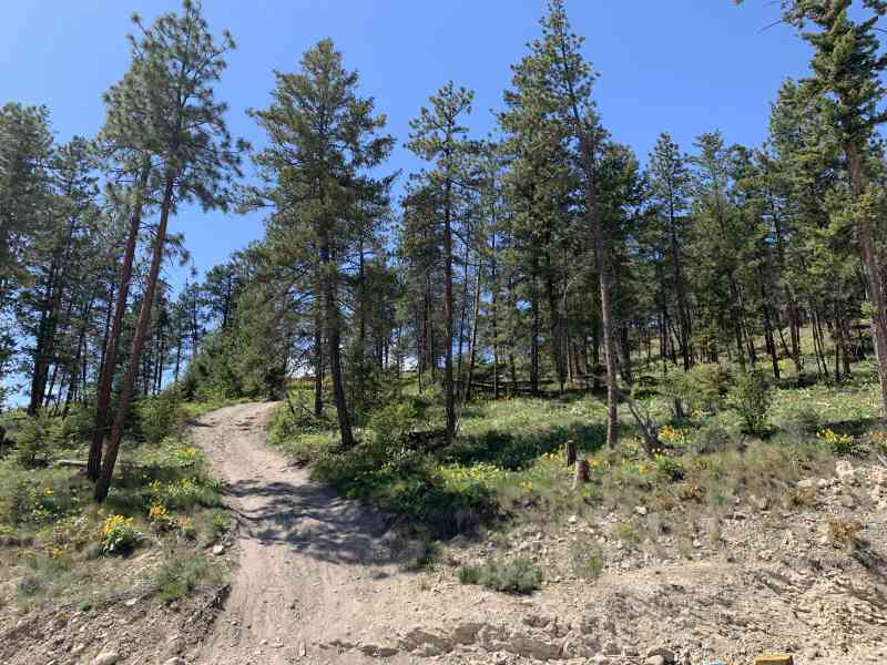 Mine Hill Cell Tower Loop