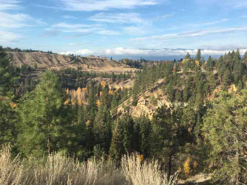 Mission Greenway Phase 2: Scenic Canyon Park (Gallagher's Canyon)