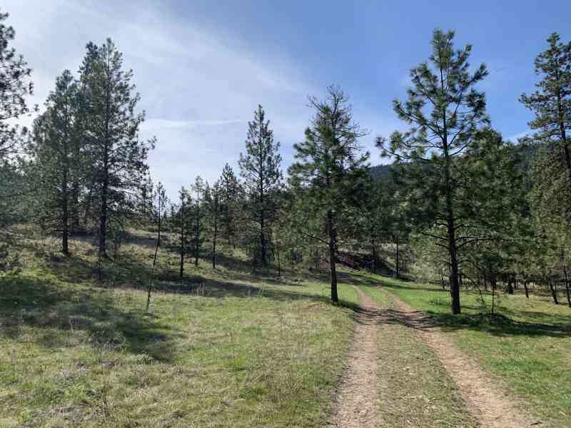 Mount Conkle: Perimeter Loop