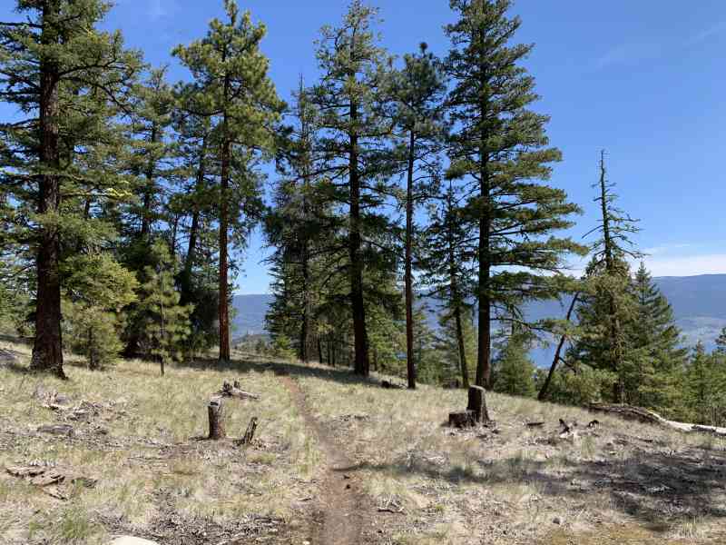 IMG_5386