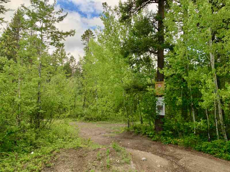 Mount Law Viewpoint Loop