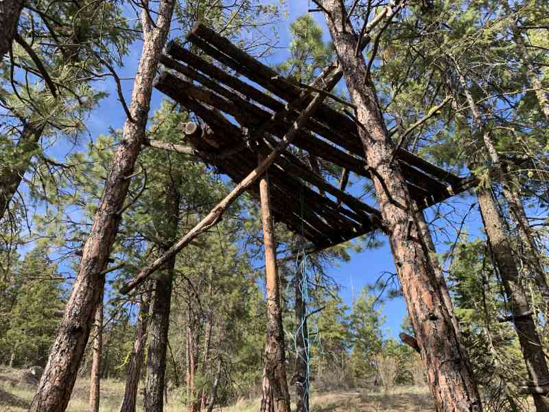 Mount Boucherie: Highway Side Ascent