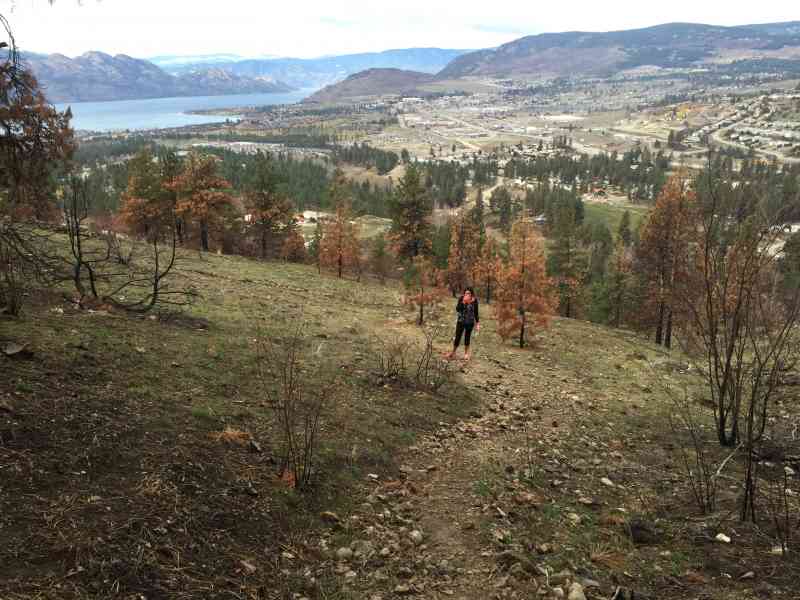 Mount Boucherie: Eain Lamont Loop