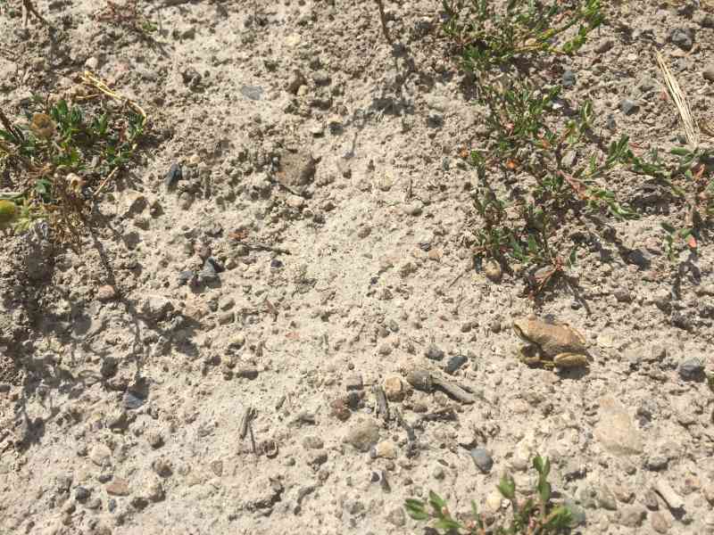 Mt. Drought: Small View Loop w/ Andrea