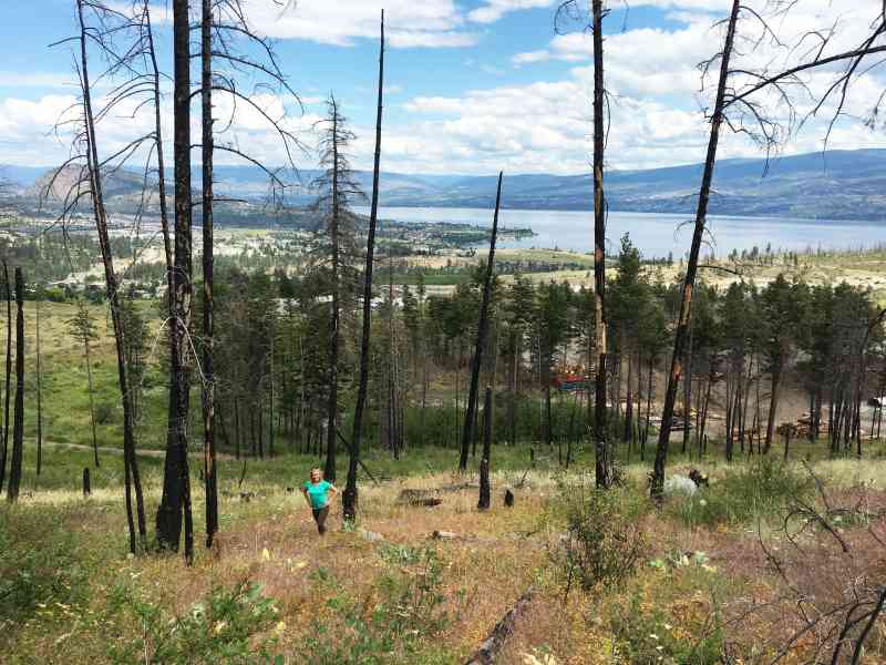 Mt. Drought: Camper Loop w/ Remy