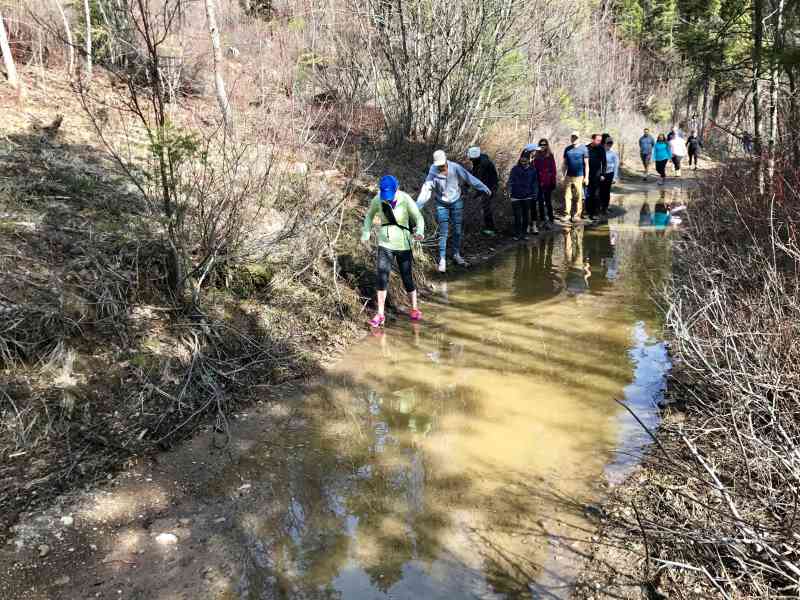 Mt. Drought: Camper Loop