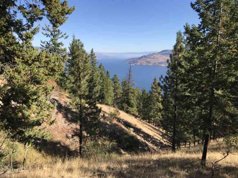 Mt. Eneas (Peachland to Summerland)