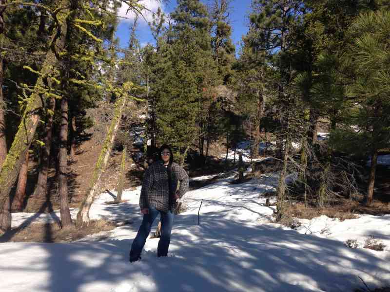 Mt. Eneas (Peachland to Summerland)