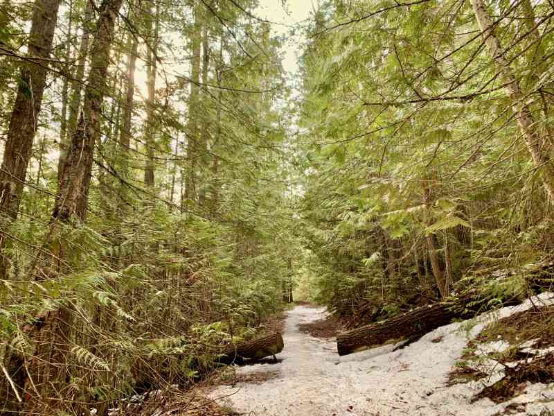 Mt. Rose Swanson - Perimeter Loop