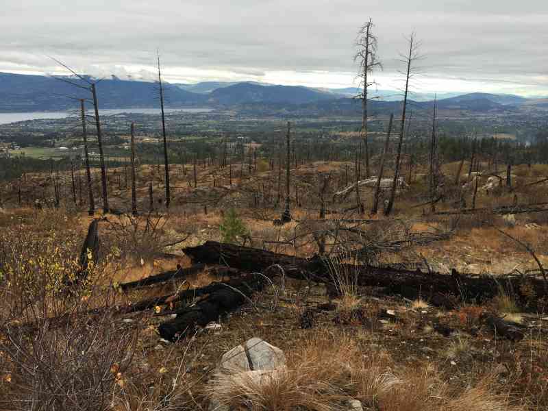 Myra Canyon: Full Loop