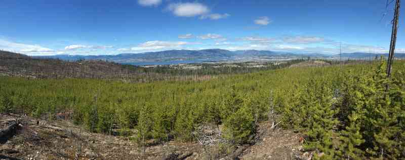 Myra Canyon: Full Loop