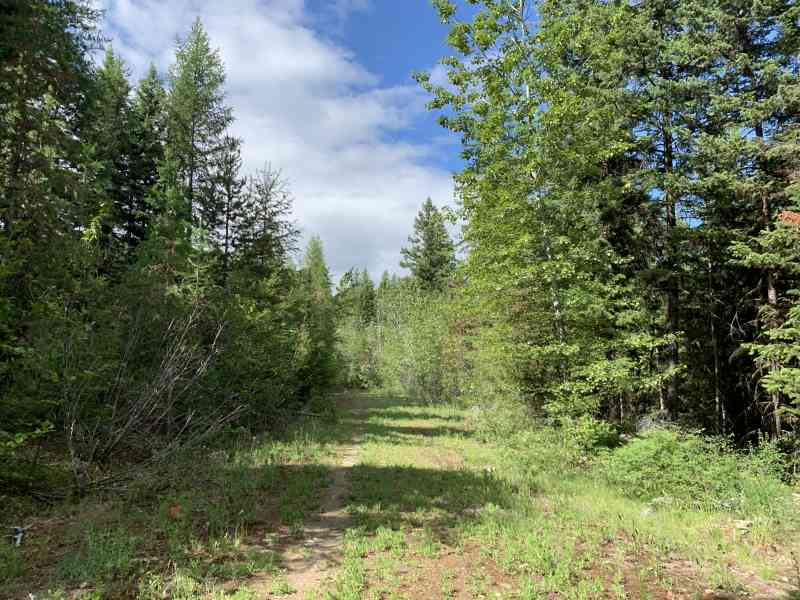 Myra Canyon: Full Loop
