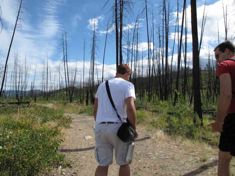 Myra Canyon: Full Loop