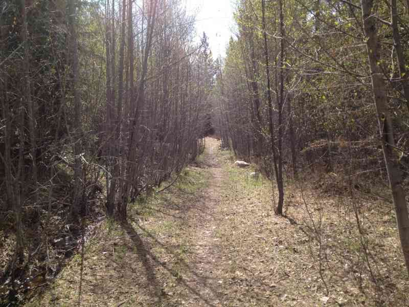 Myra Canyon: Full Loop w/ Terri