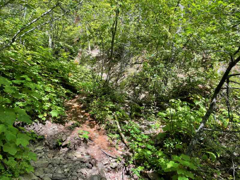 IMG_1807
