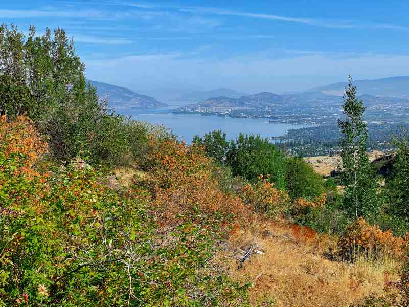 Cedar Mountain