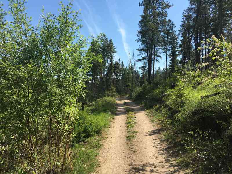 Myra Canyon: Full Loop w/ Daniel