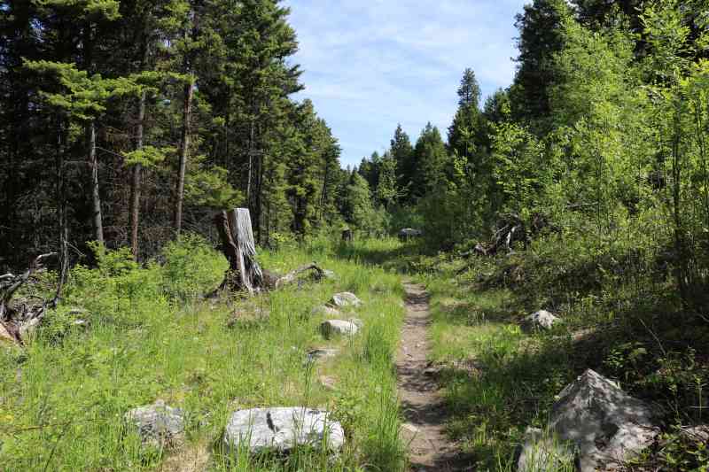 Myra Canyon: Haunted House Loop w/Tammy