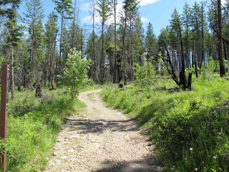 Myra Canyon: Teddy Bear Loop