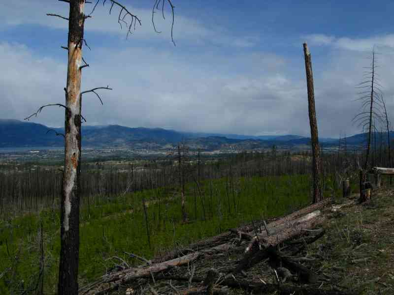 Myra Canyon: Teddy Bear Loop w/Jamie