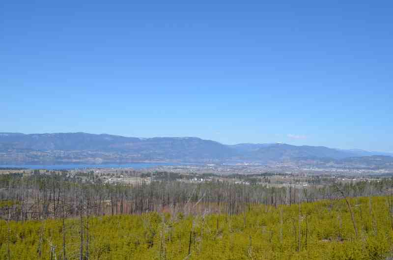 DSC_1139_03_24_2013_2030