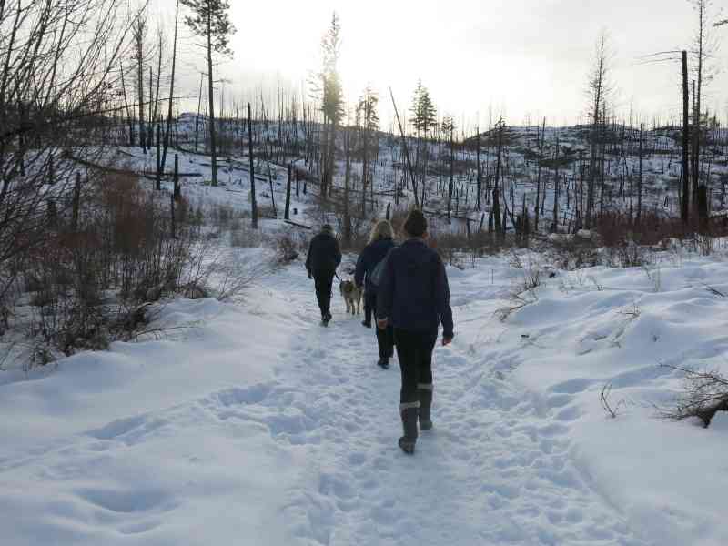 Myra Canyon: Teddy Bear Loop