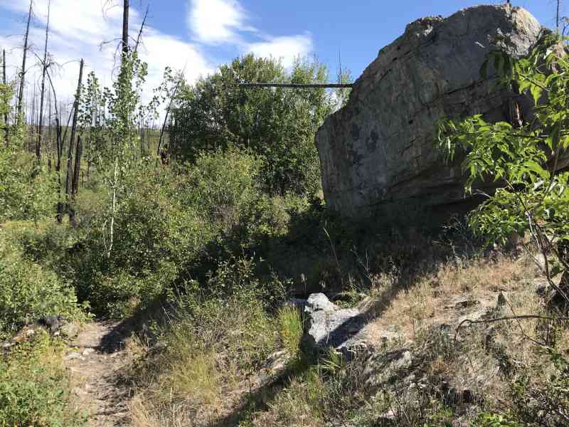 IMG_6562