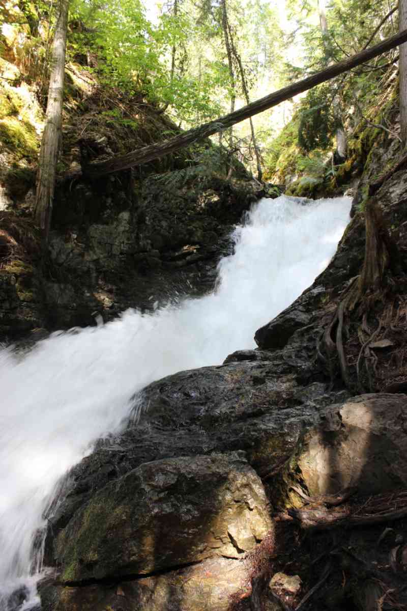 5-15-2016 BX Falls - Trillum rd entrance