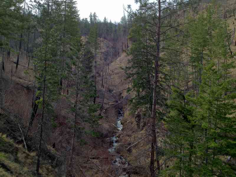 Okanagan Mountain Park: Wild Horse Canyon