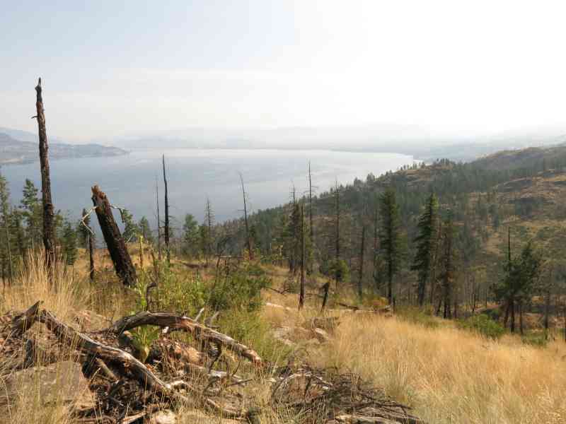Okanagan Mountain Park: Wild Horse Canyon