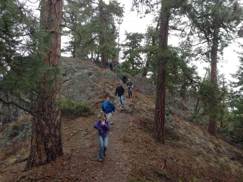 Pincushion Mountain